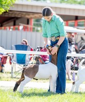 Wyoming State Fair