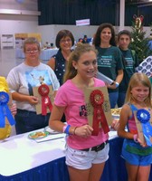 Michigan State Fair