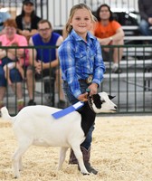 Michigan State Fair