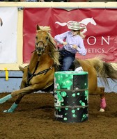 Oklahoma State Fair