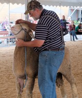 Allentown Fair