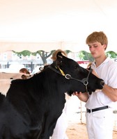 Allentown Fair