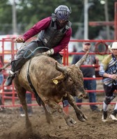 Anoka County Fair