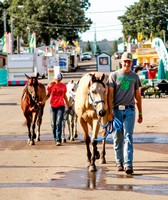 Anoka County Fair