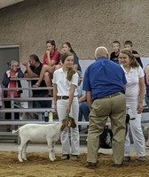 Grant County Fair