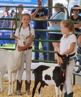 Kenosha County Fair