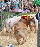 Dodge County Fair