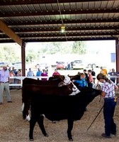 Jefferson County Fair