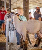 Anderson County Fair