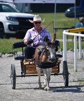 Bedford County Fair