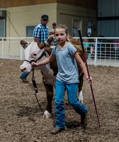 Bedford County Fair