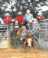 Obion County Fair