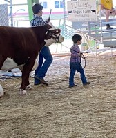 Obion County Fair