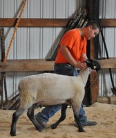 Claiborne County Fair