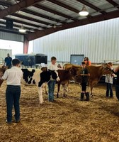 White County Fair