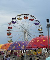 Dyer County Fair