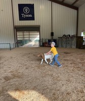 Dyer County Fair