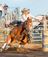 Washington County Fair