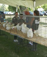 Washington County Fair