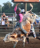 Hardin County Fair