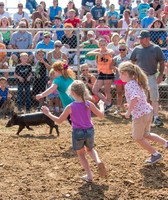 Lincoln County Fair