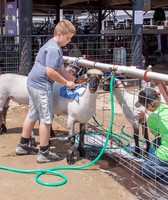 Lincoln County Fair