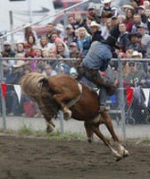 King County Fair