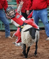 King County Fair