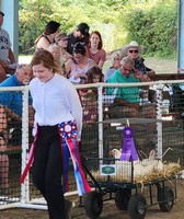 King County Fair