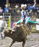 Kitsap County Fair
