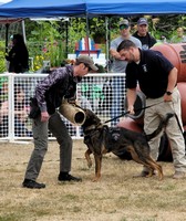 Kitsap County Fair