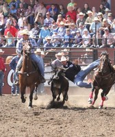 Kittitas County Fair