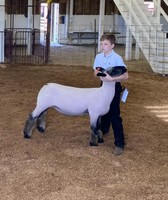 Barbour County Fair