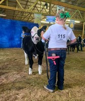 Cabell County Fair