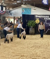 Hampshire County Fair