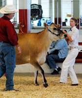 Maricopa County Fair