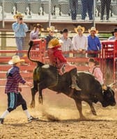 Pima County Fair