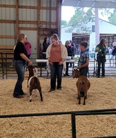 Itasca County Fair