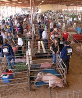 Yuma County Fair