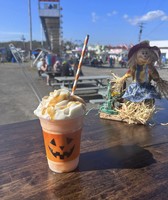 Oswego County Fair