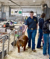 Cleveland County Fair