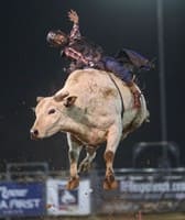 Clark County Fair
