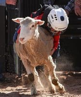 Clark County Fair