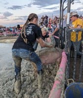 Laramie County Fair