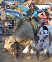 Lenawee County Fair