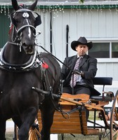 Lenawee County Fair