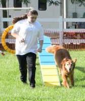 Lenawee County Fair