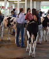 Lenawee County Fair