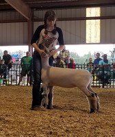 Greene County Fair