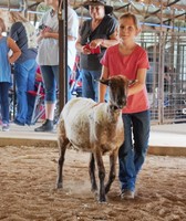 Washington County Fair